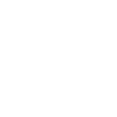 Zalando 2017